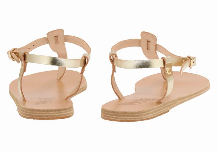 Ancient Greek Sandals Lito Flip Flop Leather Donna Sandali Con Cinturino Sul Retro Oro Bianche | ESH433KO