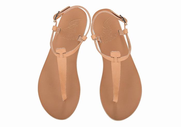 Ancient Greek Sandals Lito Flip Flop Leather Donna Sandali Con Cinturino Sul Retro Beige | QOS9475WK