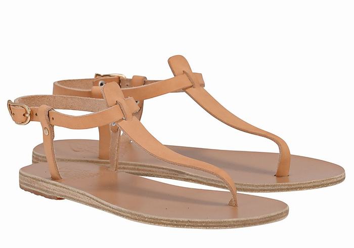 Ancient Greek Sandals Lito Flip Flop Leather Donna Sandali Con Cinturino Sul Retro Beige | QOS9475WK