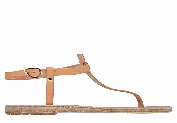 Ancient Greek Sandals Lito Flip Flop Leather Donna Sandali Con Cinturino Sul Retro Beige | QOS9475WK