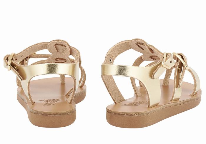 Ancient Greek Sandals Little Grace Kelly Soft Bambino Sandali Bassi Oro Bianche | LOI3144GN