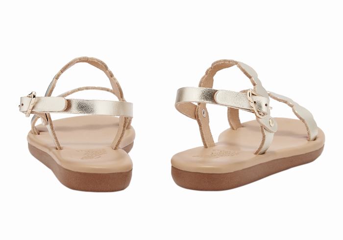 Ancient Greek Sandals Little Orion Soft Bambino Sandali Bassi Oro Bianche | EWY6679DW