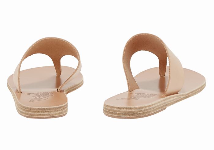 Ancient Greek Sandals Mera Leather Donna Infradito Beige | GJX9859NE