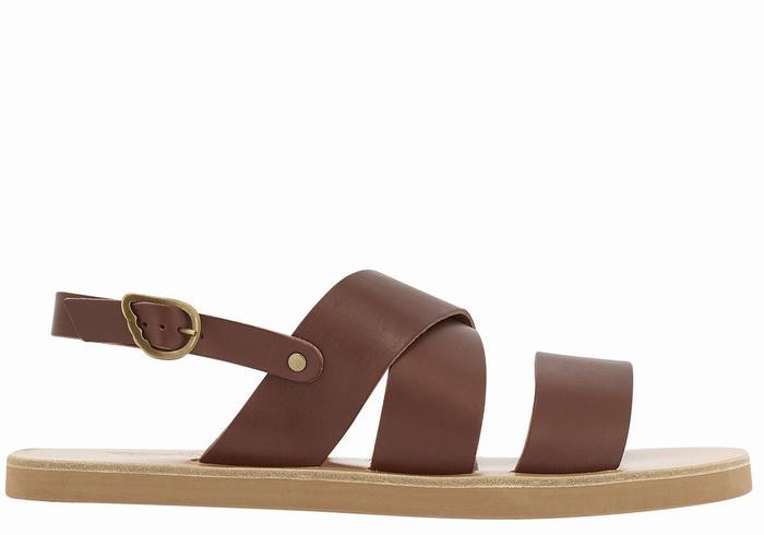 Ancient Greek Sandals Miltos Uomo Sandali Casual Caffè | RXW7127ZM