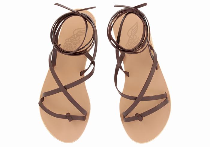 Ancient Greek Sandals Morfi Leather Donna Sandali Da Gladiatore Caffè | GAM215KZ