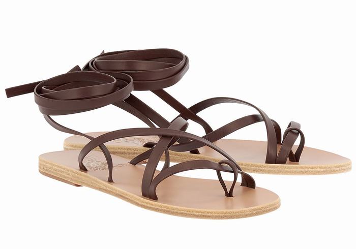 Ancient Greek Sandals Morfi Leather Donna Sandali Da Gladiatore Caffè | GAM215KZ