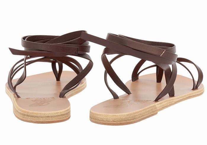 Ancient Greek Sandals Morfi Leather Donna Sandali Da Gladiatore Caffè | GAM215KZ