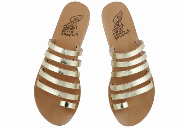 Ancient Greek Sandals Niki Leather Donna Sandali Con Puntale Oro Bianche | LIL8057DL