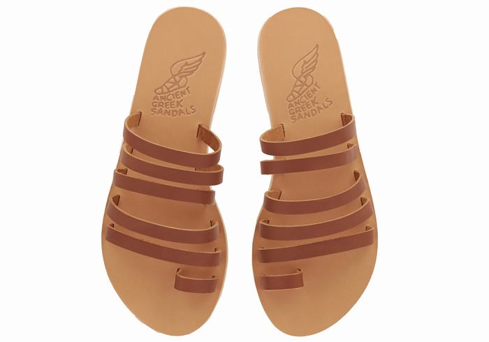 Ancient Greek Sandals Niki Leather Donna Sandali Con Puntale Marroni Scuro | MNI8994NG