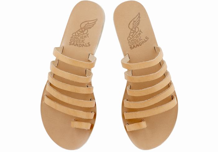 Ancient Greek Sandals Niki Leather Donna Sandali Con Puntale Beige | ZCV136KV