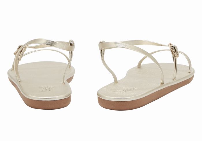 Ancient Greek Sandals Niove Donna Sandali Con Cinturino Sul Retro Oro Bianche | DHR7186ZP