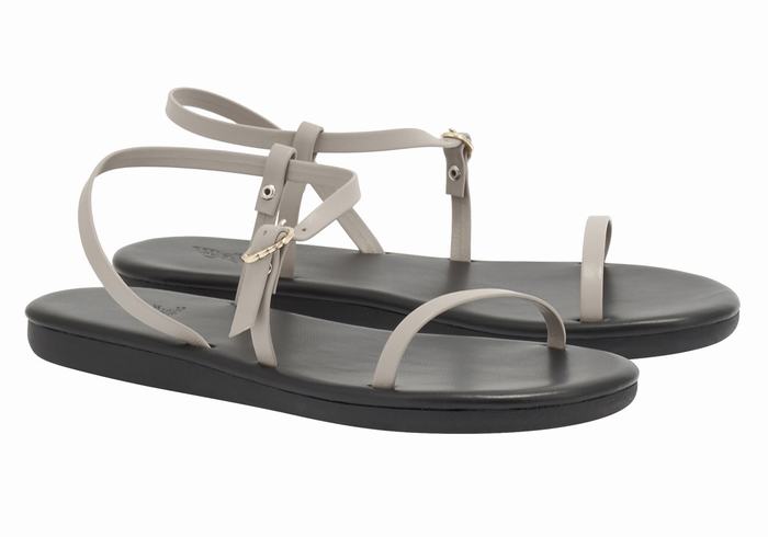 Ancient Greek Sandals Niove Donna Sandali Con Cinturino Sul Retro Grigie Marroni | OAS197MU