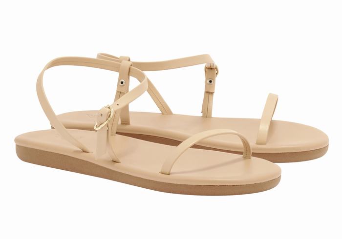 Ancient Greek Sandals Niove Donna Sandali Con Cinturino Sul Retro Beige | HCF8146DB