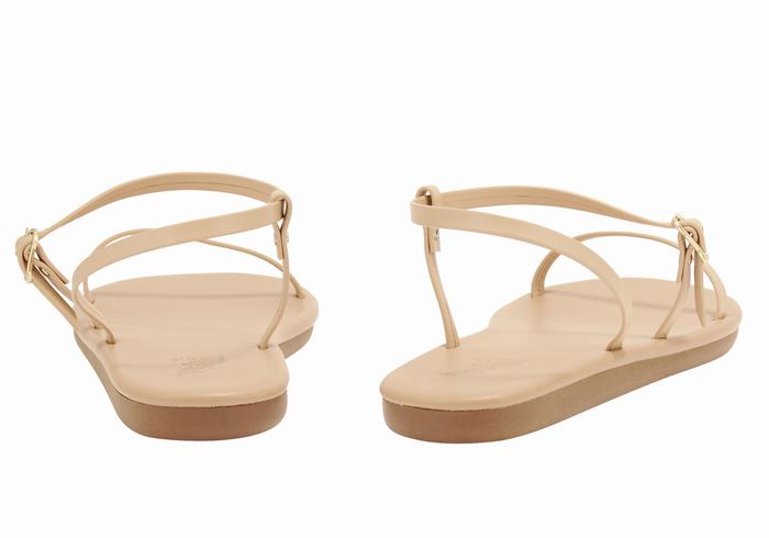 Ancient Greek Sandals Niove Donna Sandali Con Cinturino Sul Retro Beige | HCF8146DB