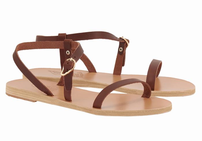 Ancient Greek Sandals Niove Leather Donna Sandali Con Cinturino Sul Retro Caffè | NWZ6845AY