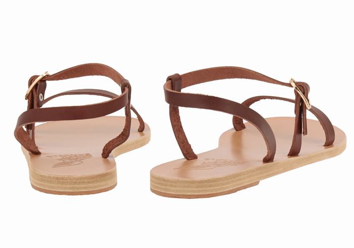 Ancient Greek Sandals Niove Leather Donna Sandali Con Cinturino Sul Retro Caffè | NWZ6845AY