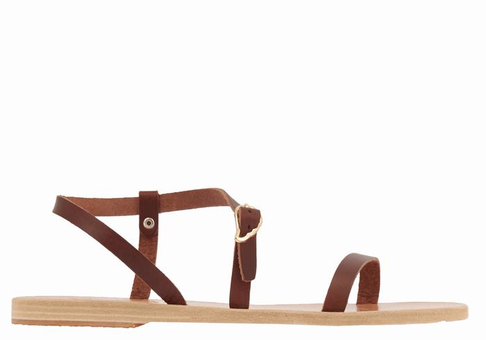 Ancient Greek Sandals Niove Leather Donna Sandali Con Cinturino Sul Retro Caffè | NWZ6845AY