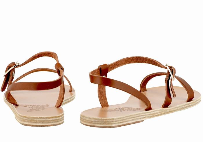 Ancient Greek Sandals Niove Leather Donna Sandali Con Cinturino Sul Retro Marroni Scuro | ROC8949IN