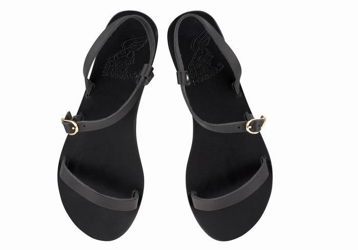 Ancient Greek Sandals Niove Leather Donna Sandali Con Cinturino Sul Retro Nere | DVY6350CI