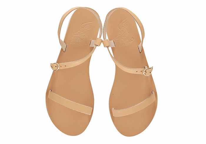 Ancient Greek Sandals Niove Leather Donna Sandali Con Cinturino Sul Retro Beige | QJL6281WZ