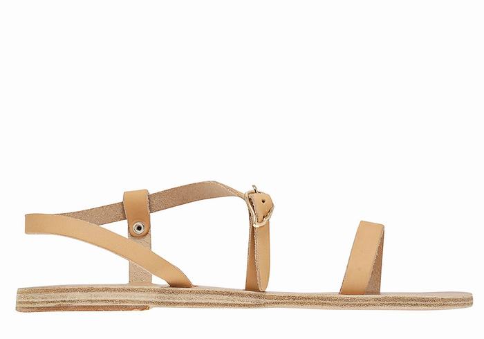 Ancient Greek Sandals Niove Leather Donna Sandali Con Cinturino Sul Retro Beige | QJL6281WZ