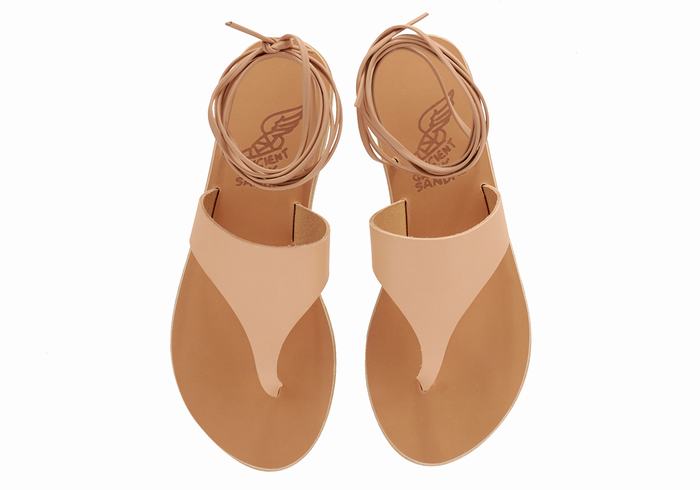 Ancient Greek Sandals Nychta Leather Donna Sandali Da Gladiatore Beige | YYD9059SH