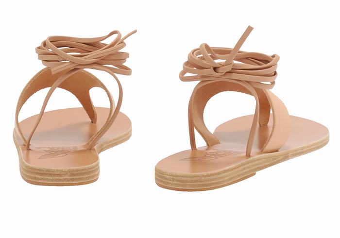 Ancient Greek Sandals Nychta Leather Donna Sandali Da Gladiatore Beige | YYD9059SH