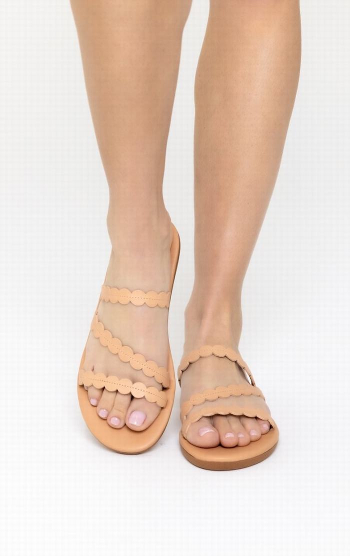 Ancient Greek Sandals Oceanis Donna Sandali Scorrevoli Beige | YQE318HQ