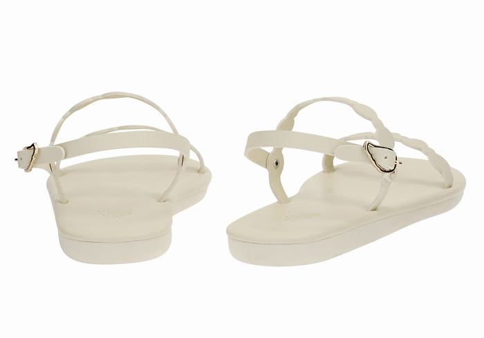 Ancient Greek Sandals Orion Donna Sandali Con Cinturino Sul Retro Bianche | VOH2565HB