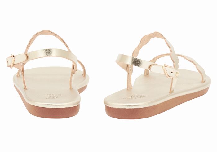 Ancient Greek Sandals Orion Donna Sandali Con Cinturino Sul Retro Oro Bianche | CAG7262VM