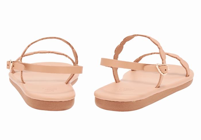 Ancient Greek Sandals Orion Donna Sandali Con Cinturino Sul Retro Beige | CDY348AG