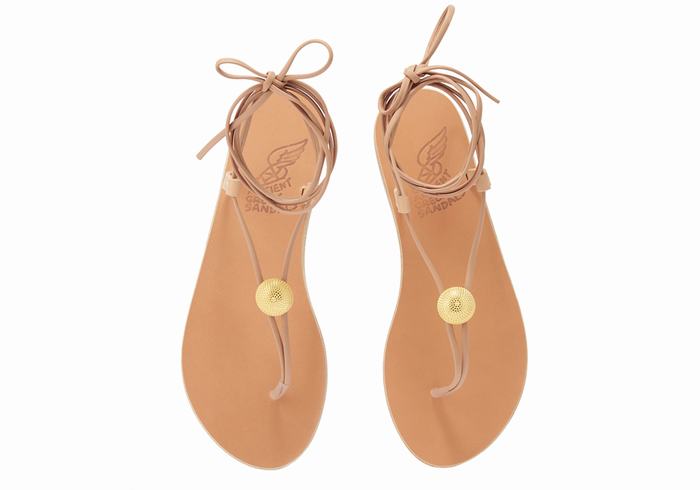 Ancient Greek Sandals Persephone Donna Sandali Da Gladiatore Beige | TAR9126BH