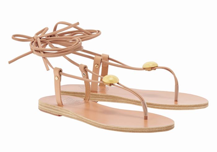 Ancient Greek Sandals Persephone Donna Sandali Da Gladiatore Beige | TAR9126BH