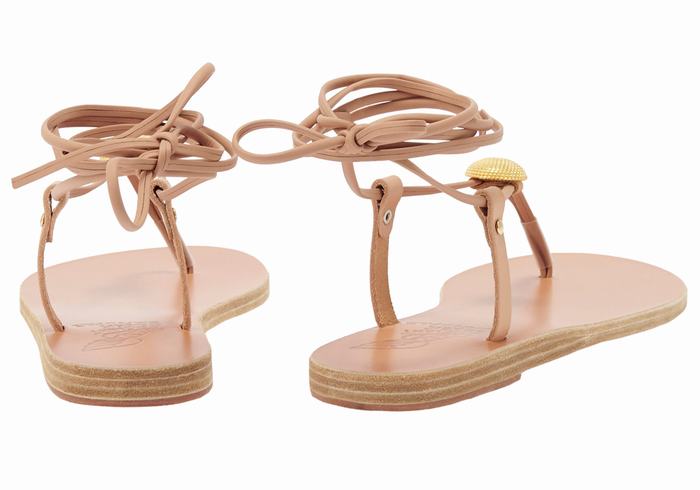 Ancient Greek Sandals Persephone Donna Sandali Da Gladiatore Beige | TAR9126BH