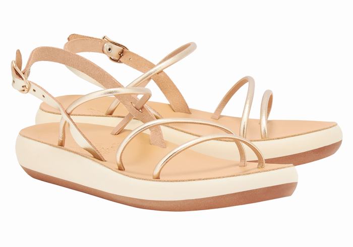 Ancient Greek Sandals Polis Donna Sandali Con Cinturino Sul Retro Oro Bianche | QEN399QR