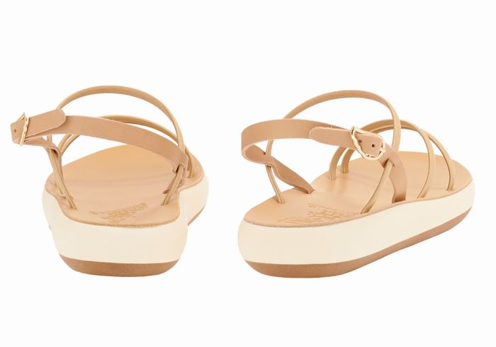 Ancient Greek Sandals Polis Donna Sandali Con Cinturino Sul Retro Beige | VMM689QJ