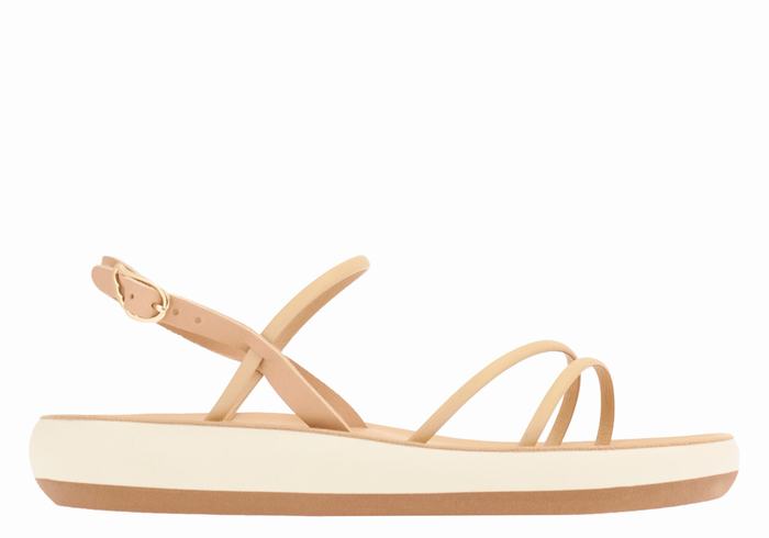 Ancient Greek Sandals Polis Donna Sandali Con Cinturino Sul Retro Beige | VMM689QJ