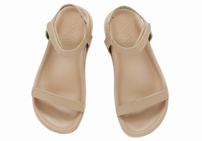 Ancient Greek Sandals Poros Donna Sandali Con Cinturino Sul Retro Grigie Marroni | RZZ7939KR