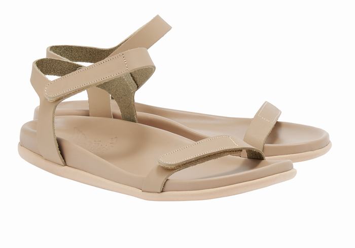 Ancient Greek Sandals Poros Donna Sandali Con Cinturino Sul Retro Grigie Marroni | RZZ7939KR