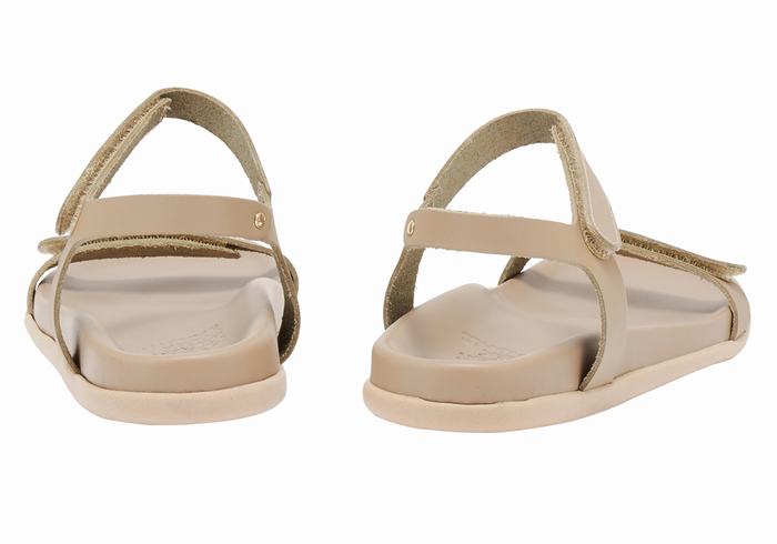 Ancient Greek Sandals Poros Donna Sandali Con Cinturino Sul Retro Grigie Marroni | RZZ7939KR