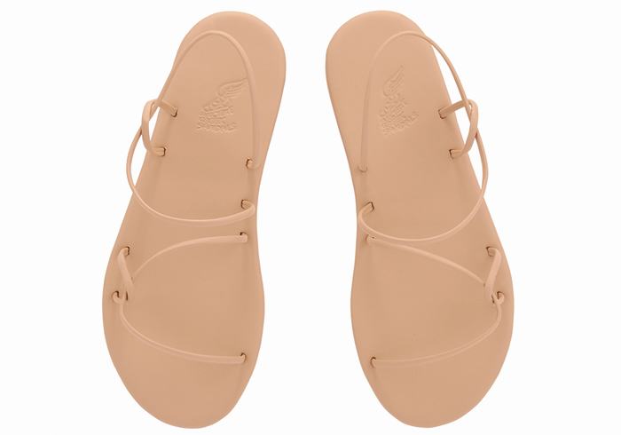 Ancient Greek Sandals Proorismos Donna Sandali Con Cinturino Sul Retro Beige | CLN1157UD