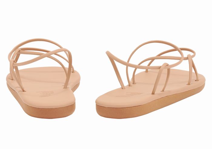 Ancient Greek Sandals Proorismos Donna Sandali Con Cinturino Sul Retro Beige | CLN1157UD