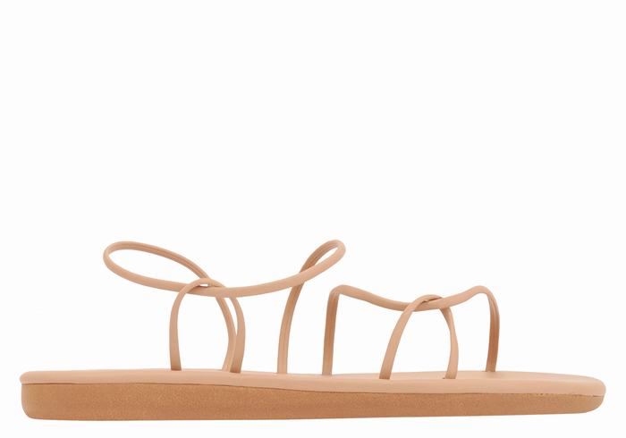 Ancient Greek Sandals Proorismos Donna Sandali Con Cinturino Sul Retro Beige | CLN1157UD