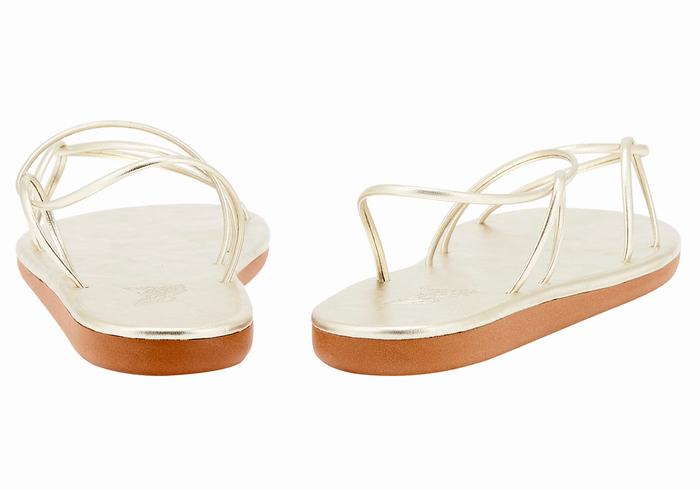 Ancient Greek Sandals Proorismos Donna Sandali Con Cinturino Sul Retro Oro Bianche | WLW2038EB