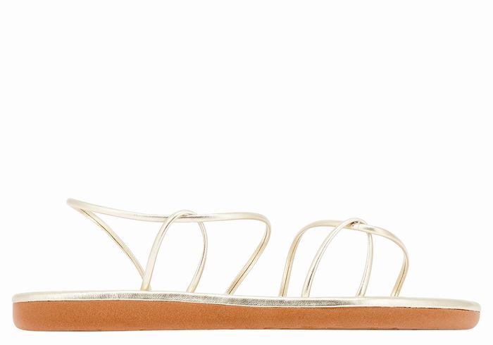 Ancient Greek Sandals Proorismos Donna Sandali Con Cinturino Sul Retro Oro Bianche | WLW2038EB