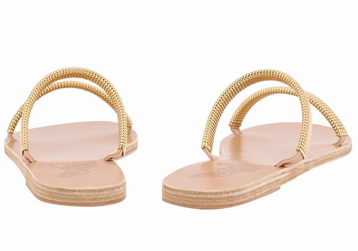 Ancient Greek Sandals Saita Donna Sandali Scorrevoli Oro Beige | EVU3798SZ