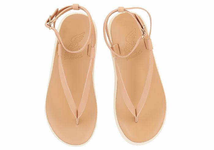 Ancient Greek Sandals Salomi Comfort Donna Sandali Con Cinturino Beige | CLW4758MU