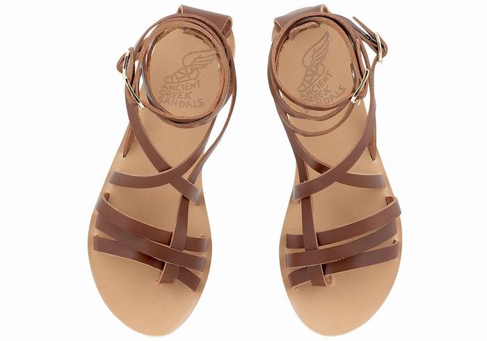 Ancient Greek Sandals Satira Leather Donna Sandali Da Gladiatore Marroni Scuro | OAK1360MU