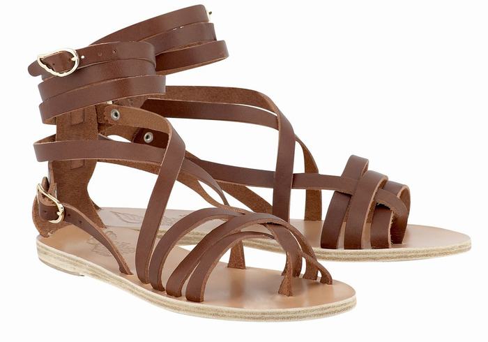 Ancient Greek Sandals Satira Leather Donna Sandali Da Gladiatore Marroni Scuro | OAK1360MU