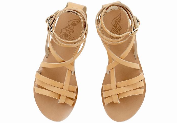 Ancient Greek Sandals Satira Leather Donna Sandali Da Gladiatore Beige | NPY9555TX